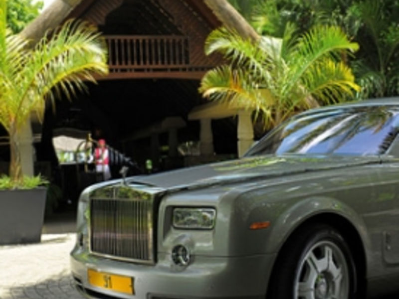 Royal Palm