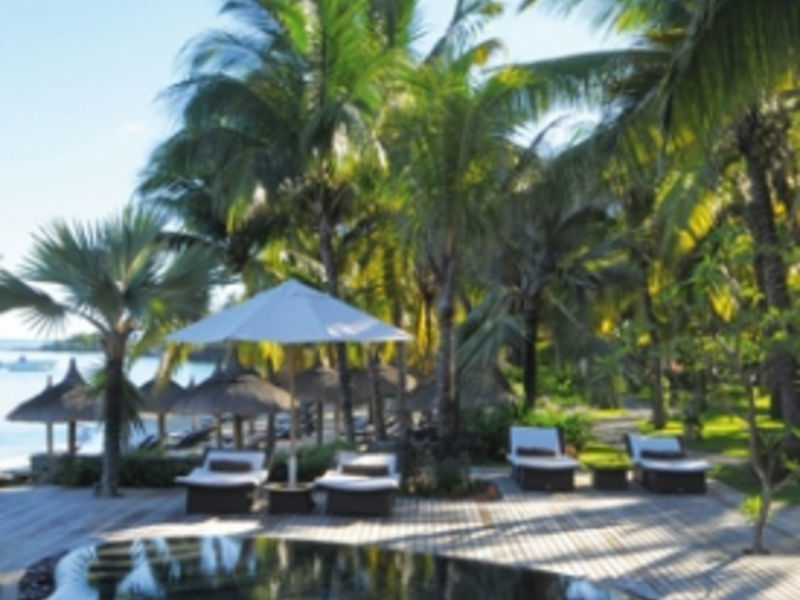 Royal Palm
