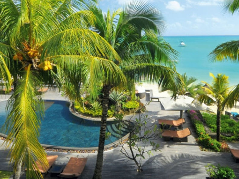 Royal Palm