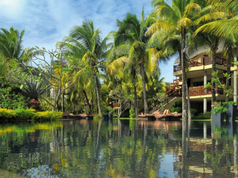 Royal Palm