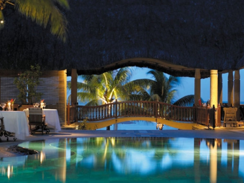 Royal Palm