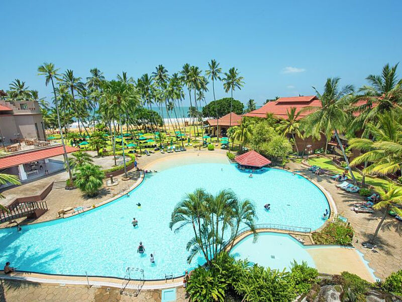 Royal Palms