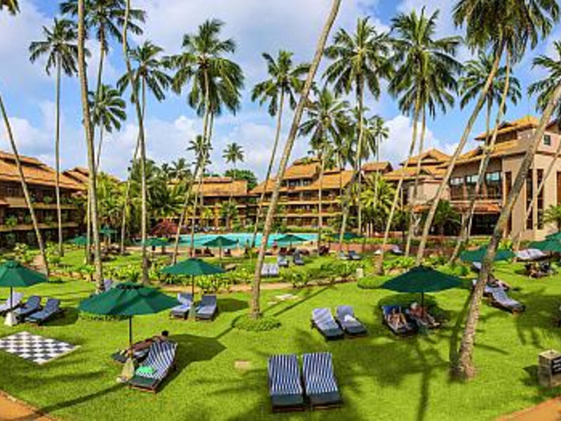 Royal Palms