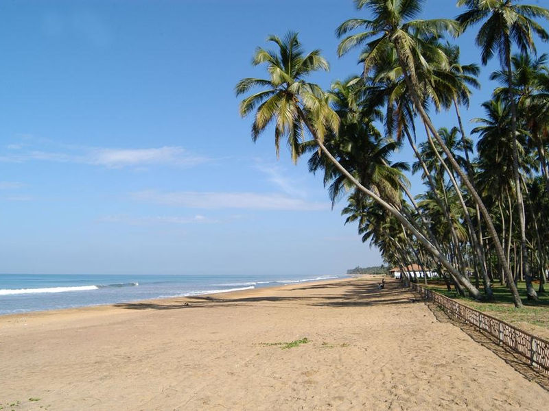 Royal Palms