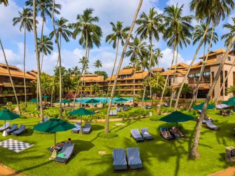 Royal Palms - Junior Suite