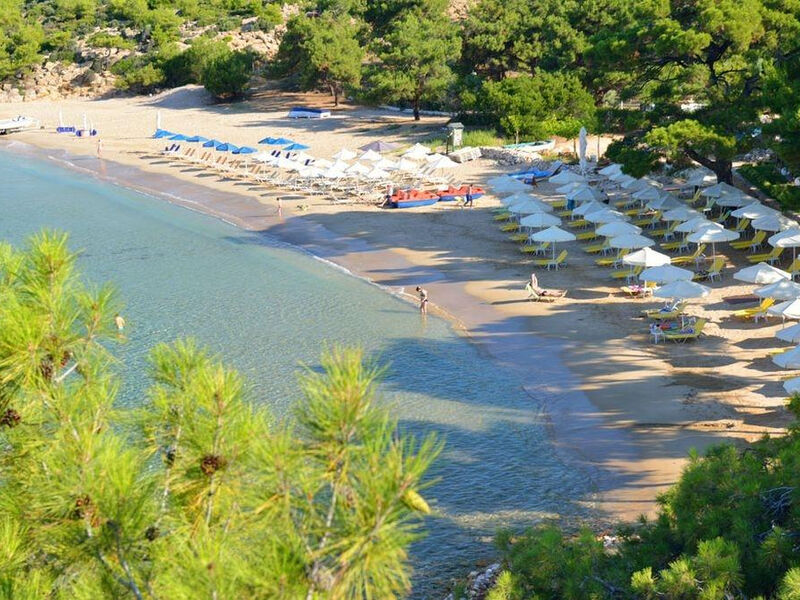 Royal Paradise Beach Resort & Spa