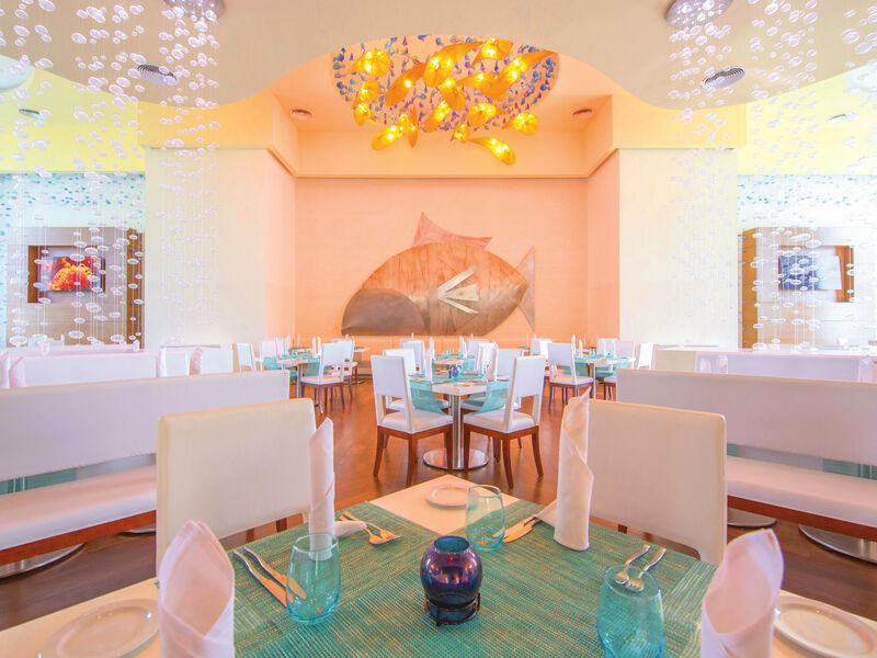 Royalton Splash Punta Cana