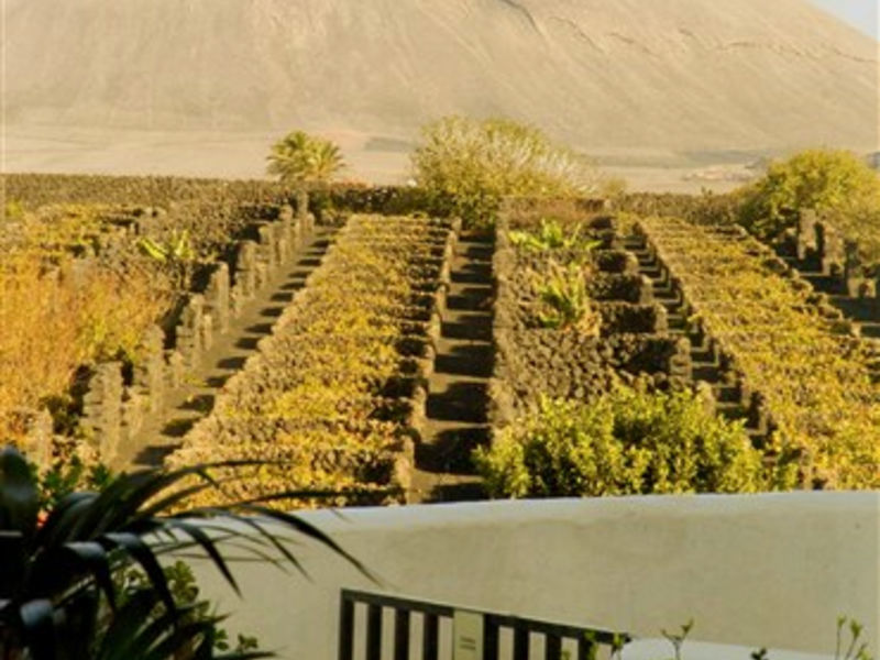 Rural Finca De La Florida