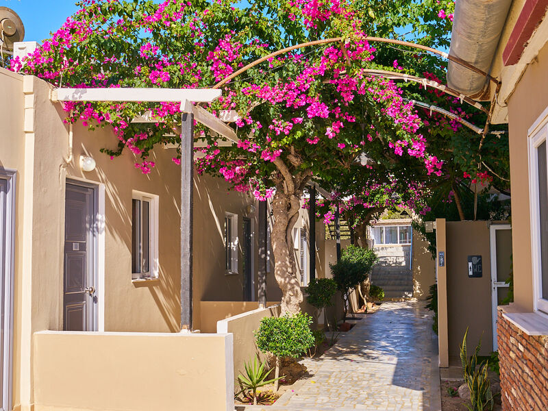 Sacallis Inn