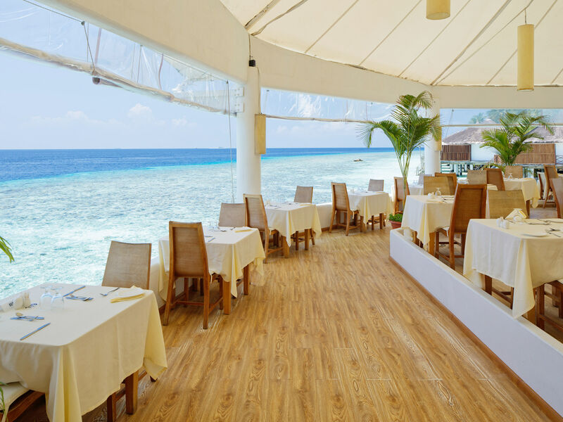 Safari Island Resort & Spa