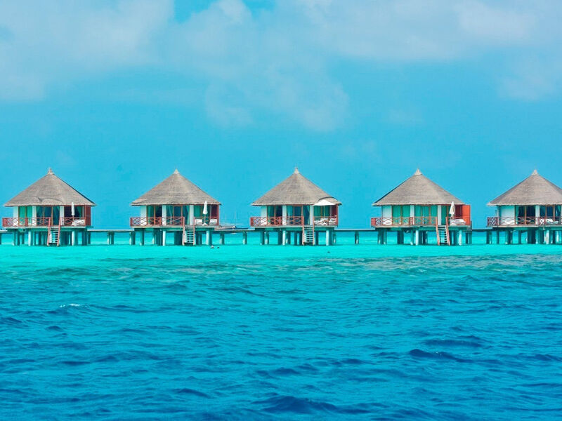 Safari Island Resort