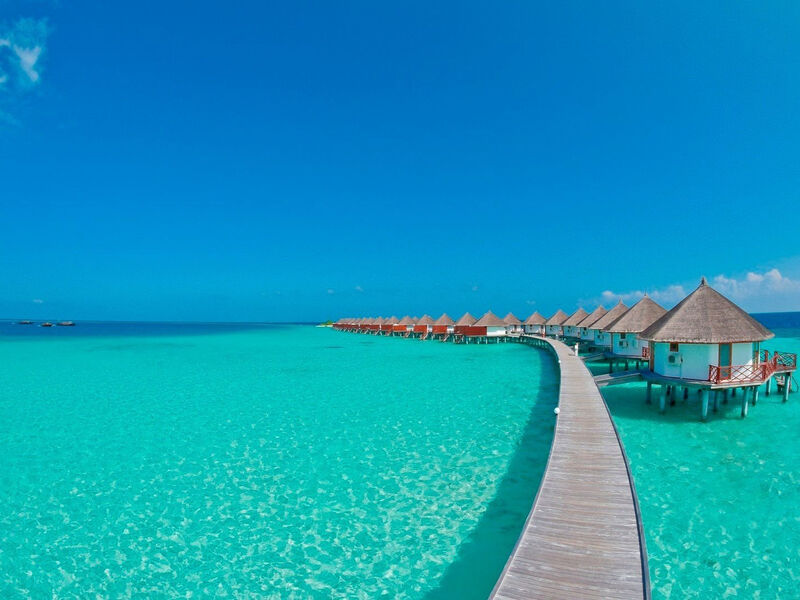 Safari Island Resort