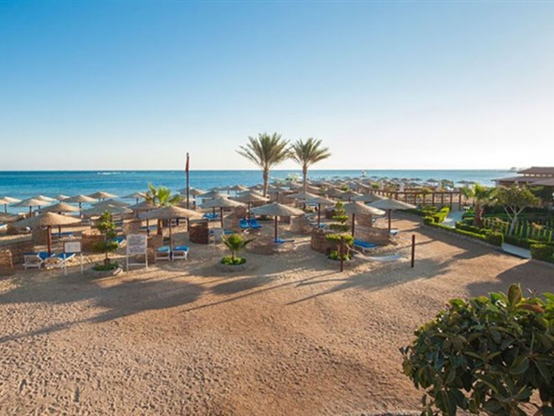 Sea Star Beau Rivage