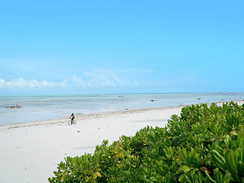 Sea View Lodge