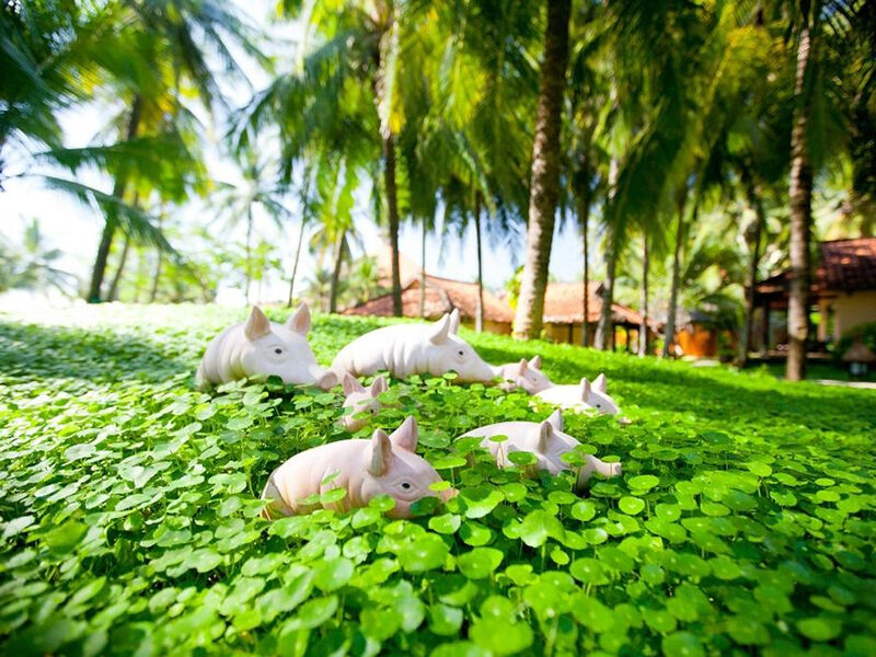 Seahorse Resort & Spa
