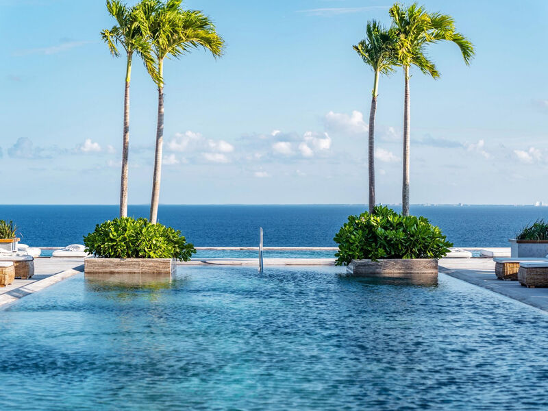 Secrets Impression Moxche