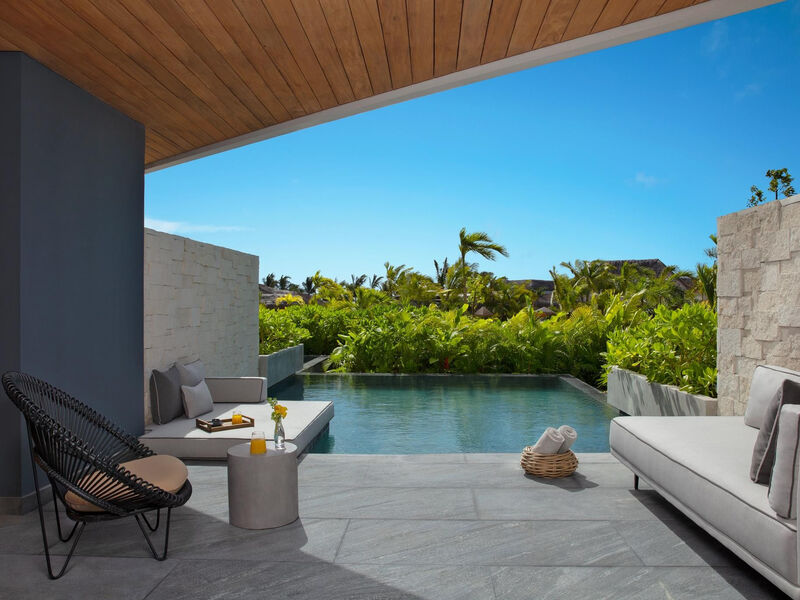 Secrets Impression Moxche