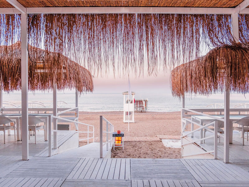 Selectum Colours Side (Ex. Euphoria Barbaross)