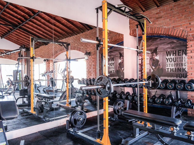 Selectum Colours Side (Ex. Euphoria Barbaross)