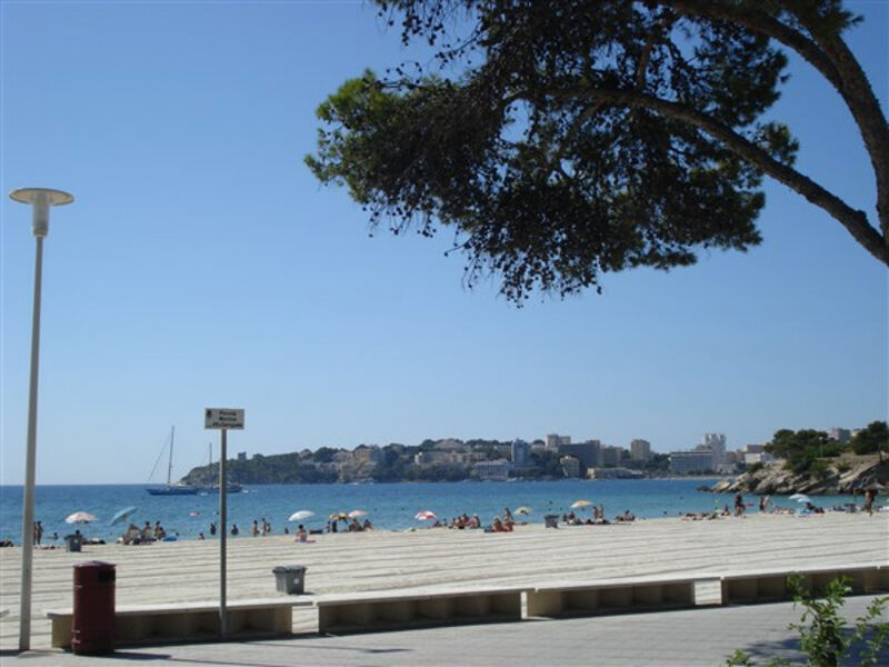 Senses Palmanova