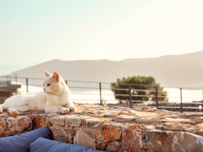 SENTIDO Elounda Beach