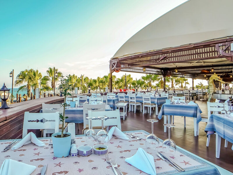 Sentido Kamelya Fulya