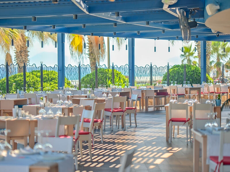 Sentido Kamelya Fulya