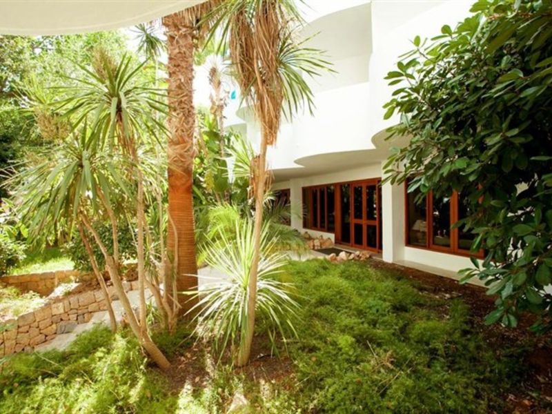 Sentido Tucan