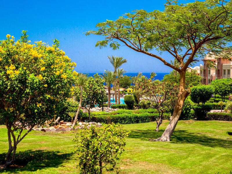 Serenity Alpha Beach
