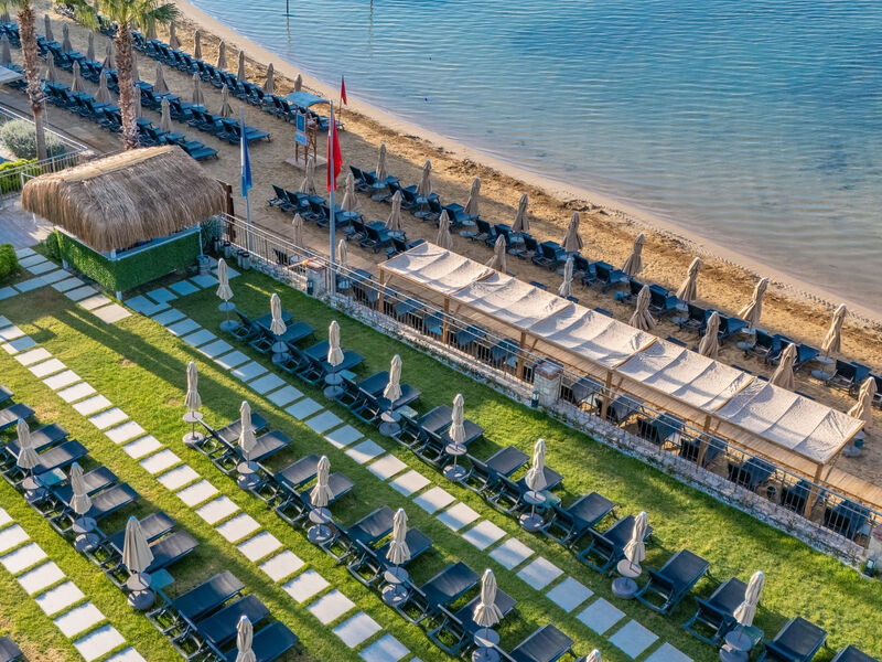 Seven Seas Sealight Elite