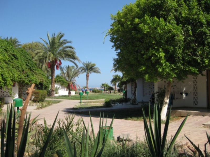 Shams Safaga Resort