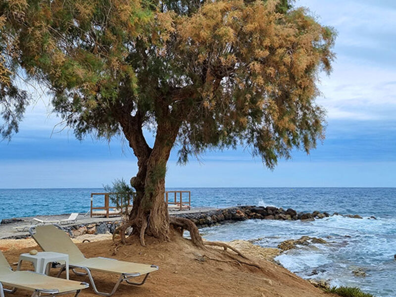 Silva Beach