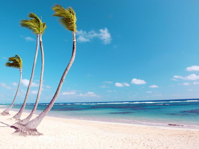 Sirenis Cocotal Beach & Tropical Suites Casino