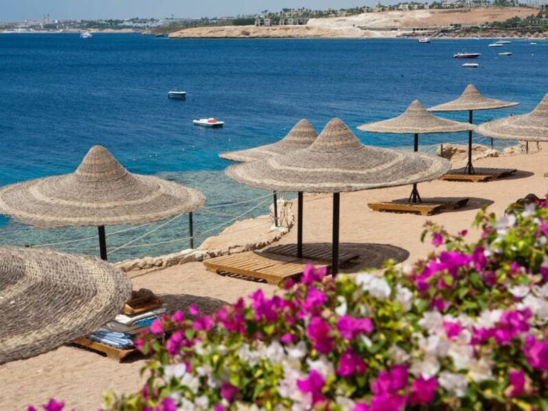Siva Sharm
