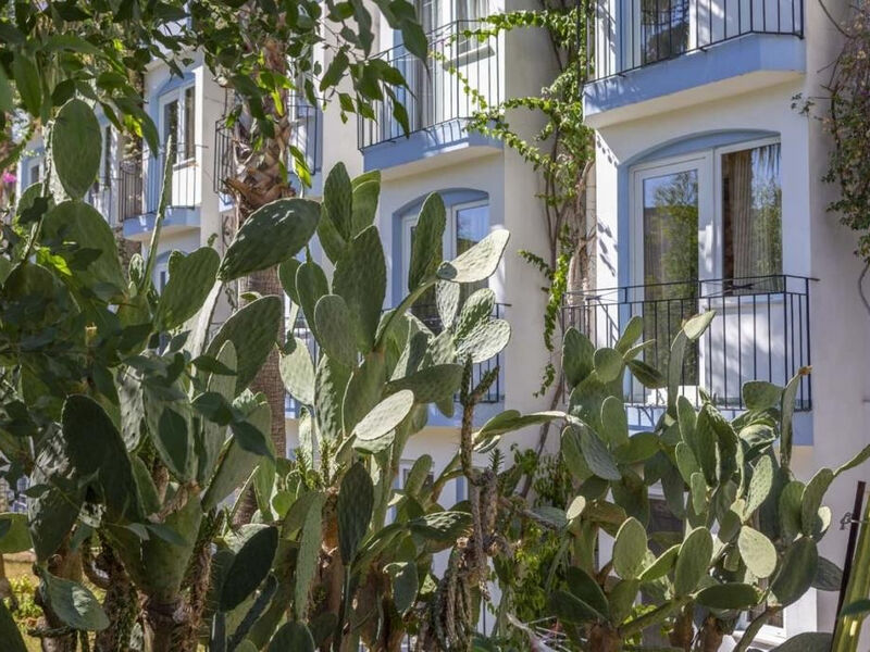 Smart Stay Beach