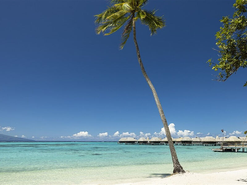 Sofitel Moorea Ia Ora Beach Resort