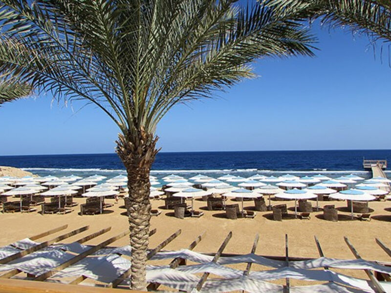 Solymar Reef Marsa