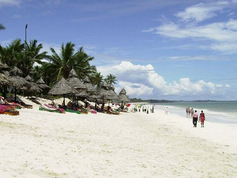 Southern Palm