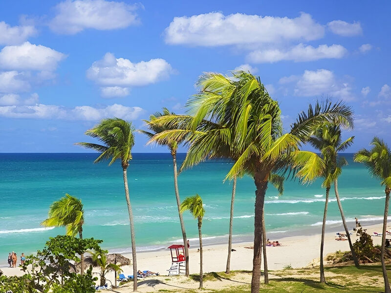 Starfish Cuatro Palmas