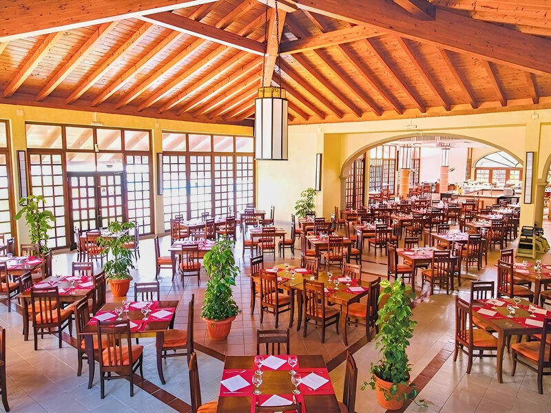 Starfish Cuatro Palmas