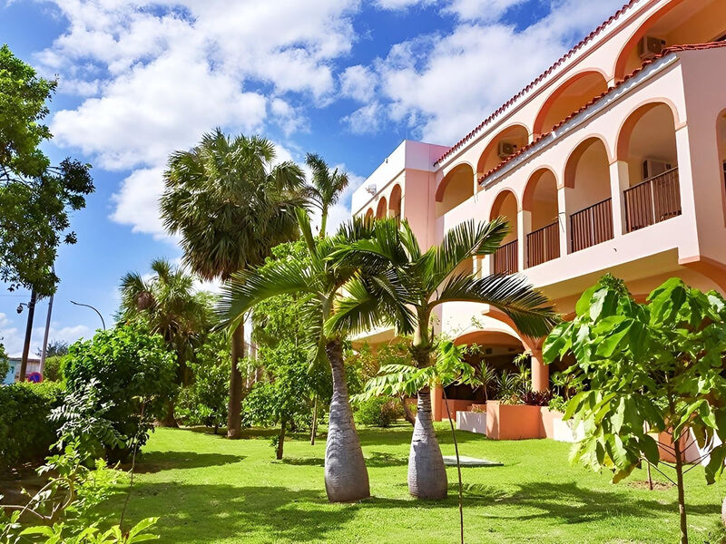 Starfish Cuatro Palmas