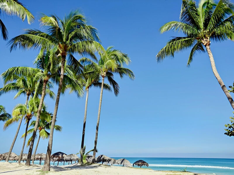 Starfish Cuatro Palmas