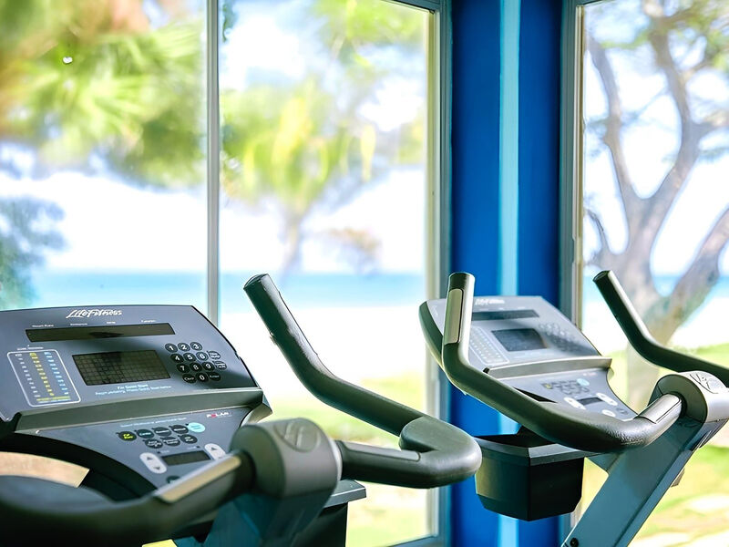 Starfish Cuatro Palmas