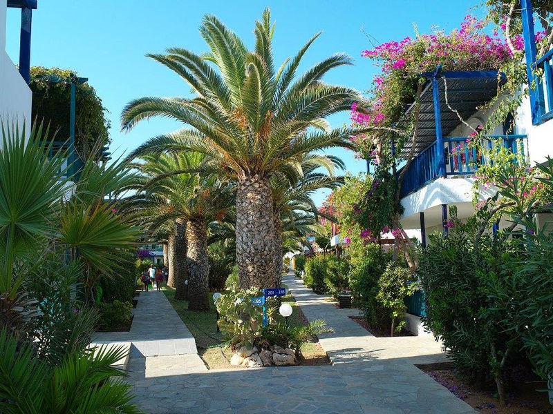 Stella Village