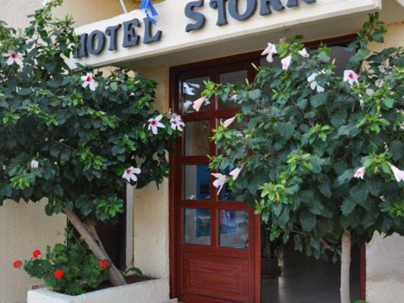 Stork