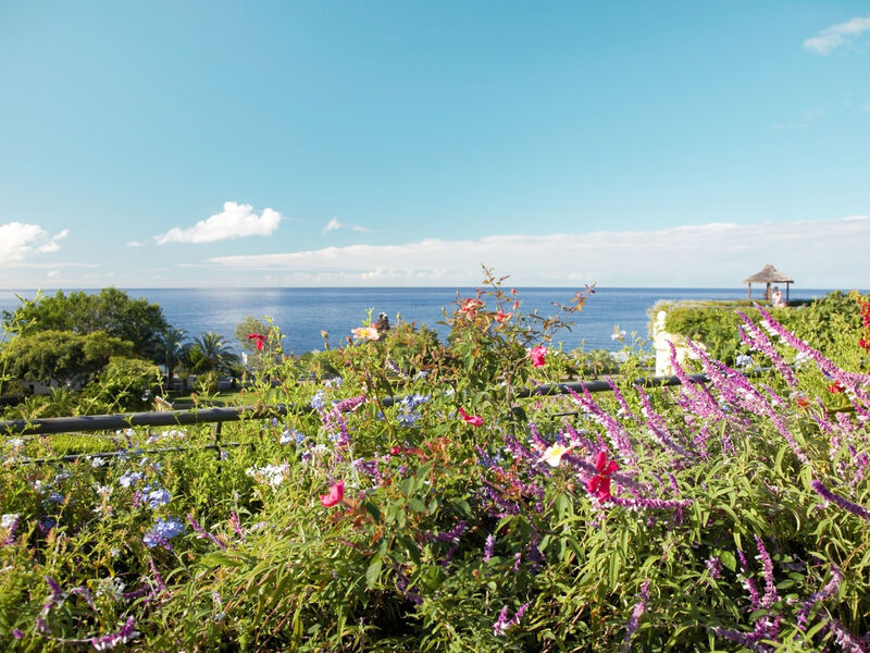 Suite Hotel Eden Mar