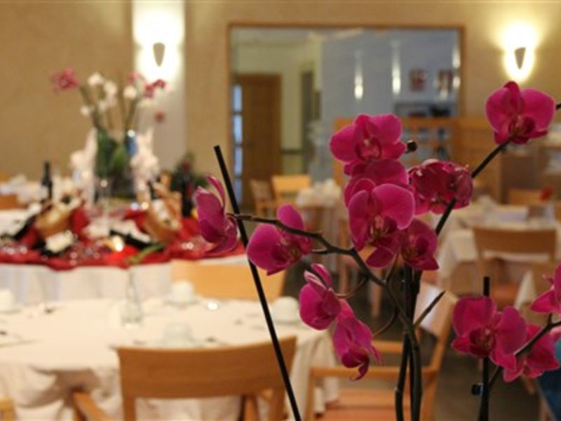 Suite Villa Maria