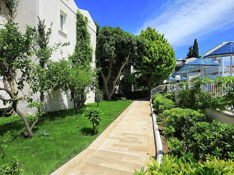 Summer Garden