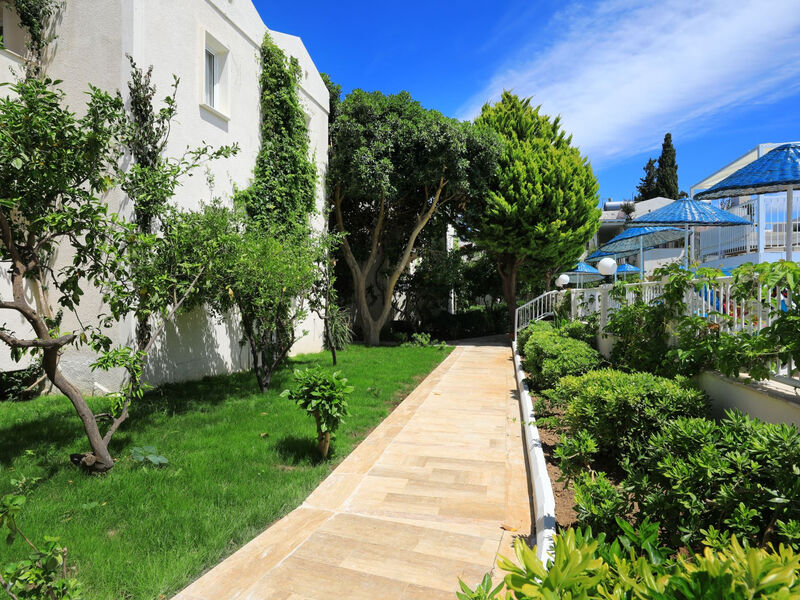Summer Garden