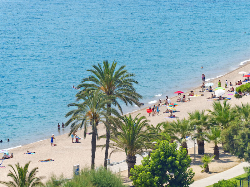 Sumus Stella & Spa
